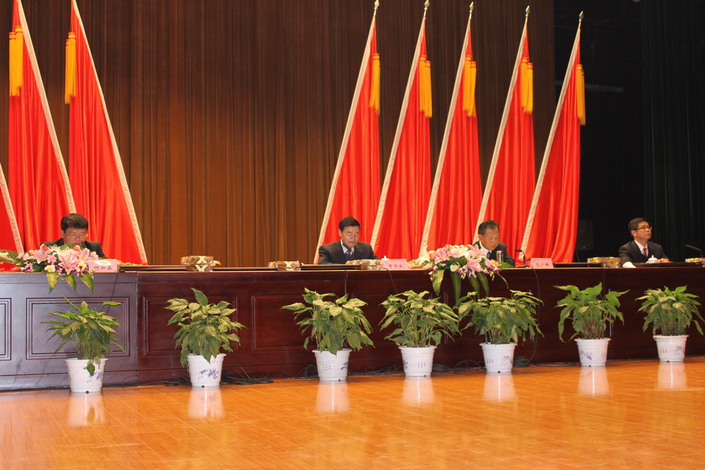 江蘇省金陵建工集團生產(chǎn)工作暨2011年總結表彰大會(huì )